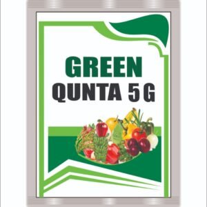 Green Qunta 5g